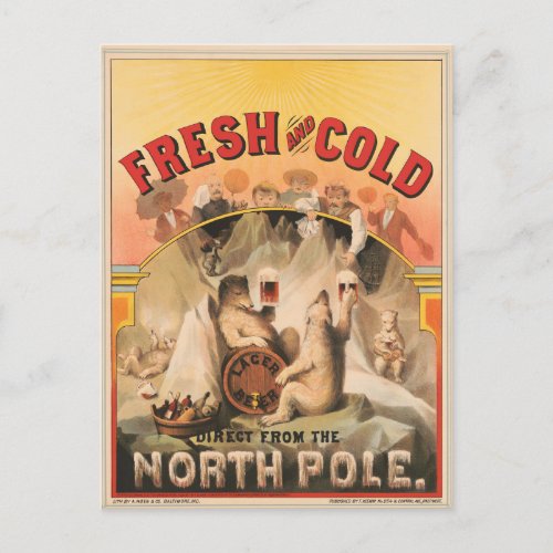 Polar Bears Are Enjoying Mugs Of Lager Beer Postcard