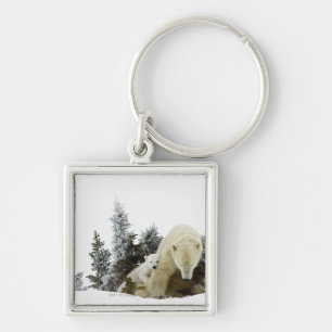 Polar Bears At Wapusk National Park Keychain