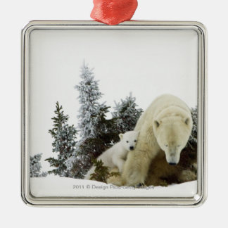 Polar Bears At Wapusk National Park Metal Ornament