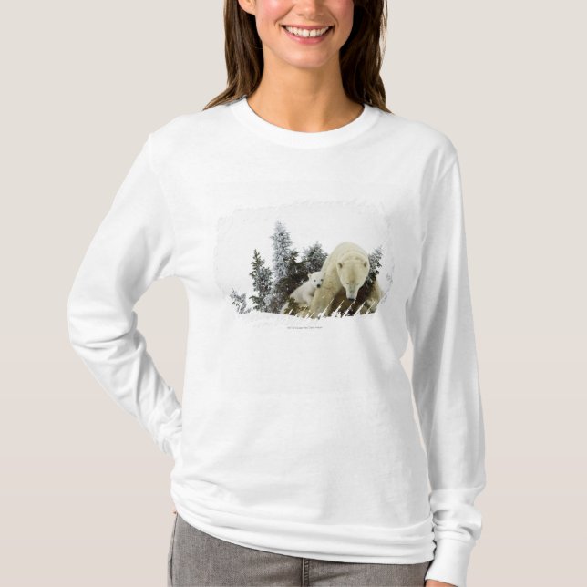 Polar Bears At Wapusk National Park T-Shirt (Front)