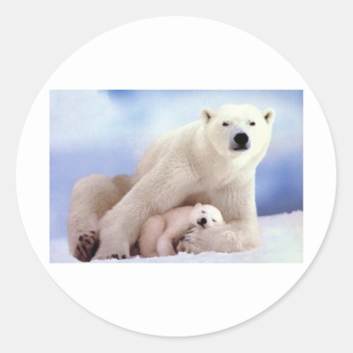 Polar Bears Classic Round Sticker