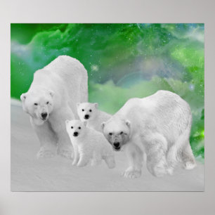 Polar Bears, cubs and northern lights Poster