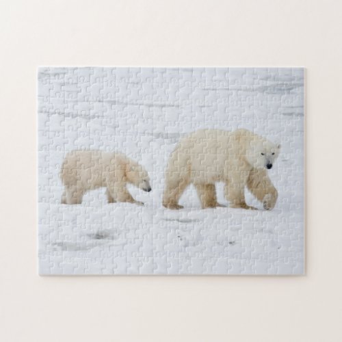 Polar Bears female and Two cubs 2 Jigsaw Puzzle