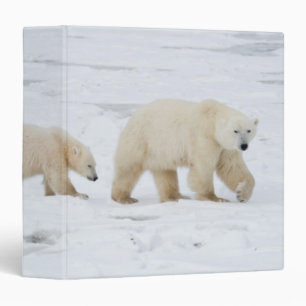 Polar Bears female and Two cubs 3 Ring Binder