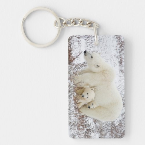 Polar Bears female and Two cubs Keychain