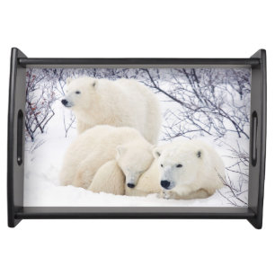 Polar Bears female and Two cubs Serving Tray