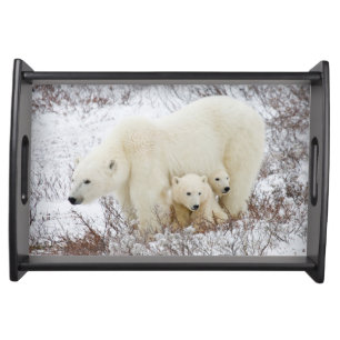 Polar Bears female and Two cubs Serving Tray