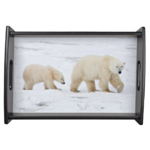 Polar Bears female and Two cubs Serving Tray