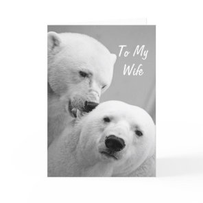 Polar Bears Husband to Wife Anniversary Card