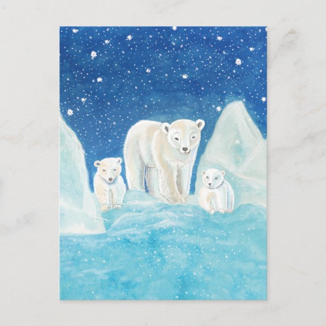 Polar Bears Illustration   Postcard (Front)