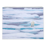 Polar Bears In The Wild Calendar at Zazzle