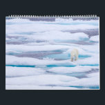 Polar Bears in the Wild Calendar<br><div class="desc">Polar bears on ice floes in their natural habitat of the Canadian High Arctic.</div>