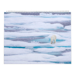 Polar Bears in the Wild Calendar