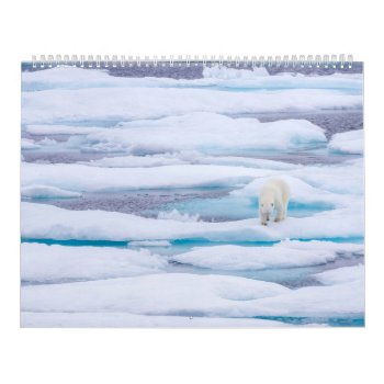 Polar Bears In The Wild Calendar by karenfoleyphoto at Zazzle