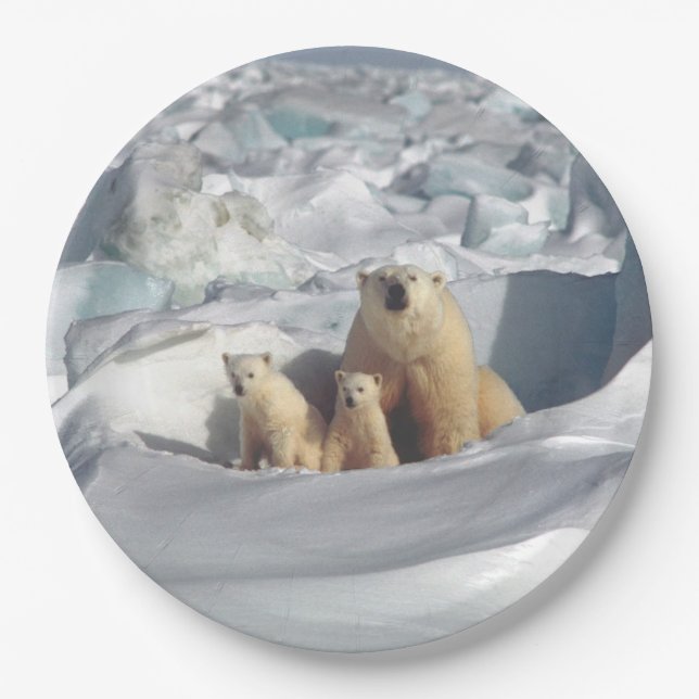 Polar Bears Mother Cub Arctic Wildlife Plates (Front)