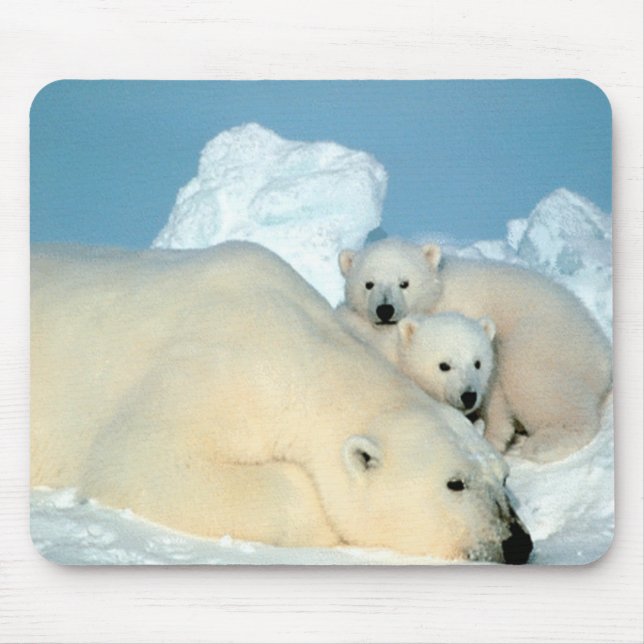 Polar Bears Mouse Pad (Front)