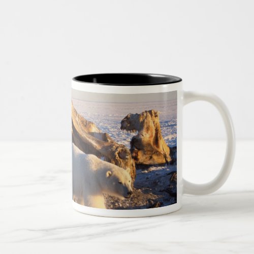 Polar bears scavenging on a bowhead whale Two_Tone coffee mug