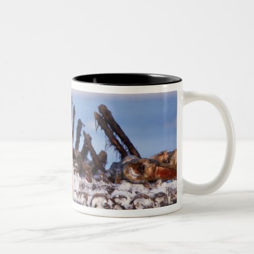 Polar bears scavenging on baleen whale bones Two_Tone coffee mug