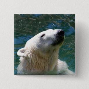 Polar bears smile button