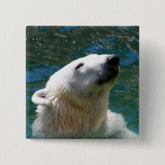 Polar bears smile button