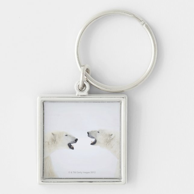 Polar Bears standing on snow after playing Keychain (Front)