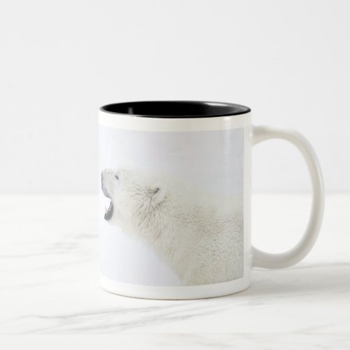 Polar Bears standing on snow after playing Two_Tone Coffee Mug