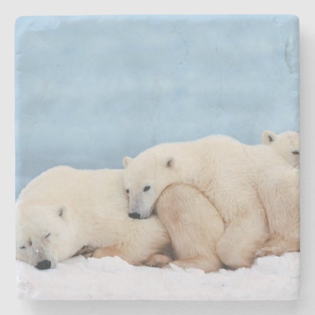 Polar Bears Stone Coaster (Front)