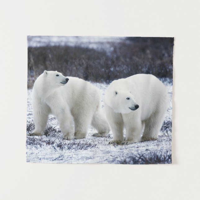 Polar bears tapestry (Front (Horizontal))