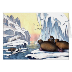 Polar Bears, Walrus, And Seals