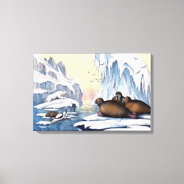 Polar Bears, Walrus, And Seals Canvas Print (Front)
