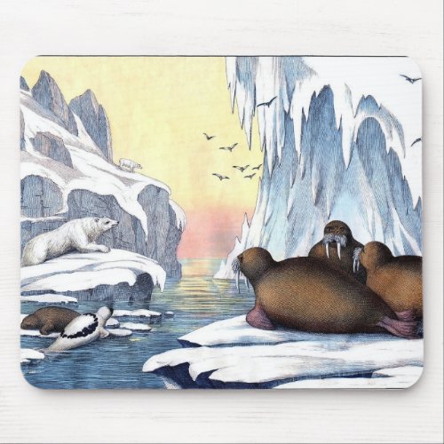 Polar Bears Walrus And Seals Mouse Pad