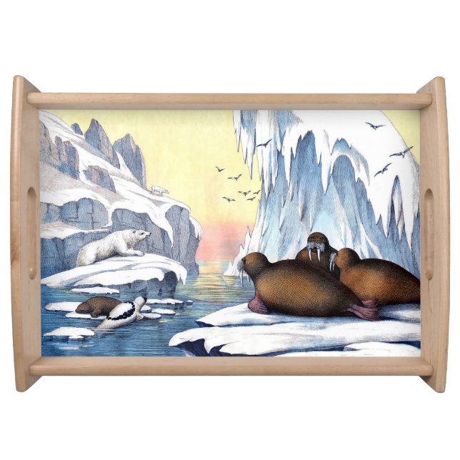 Polar Bears, Walrus, And Seals Serving Tray (Front)