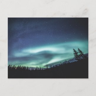 Polar Light Postcard