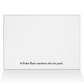 Polar Lights Polar Bear (Inside Horizontal (Top))