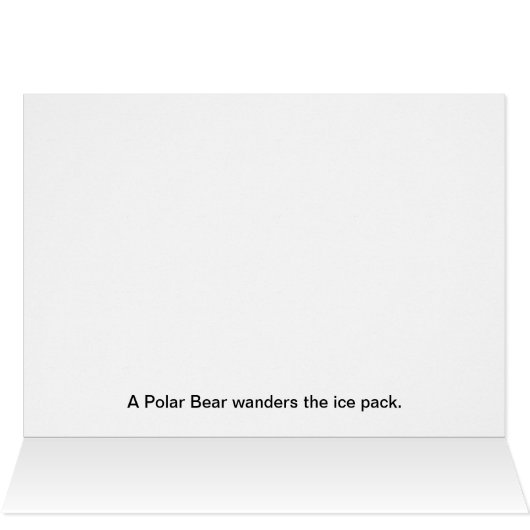 Polar Lights Polar Bear (Inside Horizontal (Top))