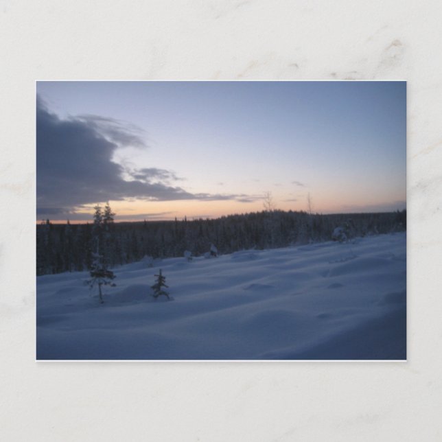 Polar night postcard (Front)