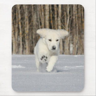 Polar Puppy Photo Mouse Pad