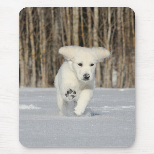 Polar Puppy Photo Mouse Pad (Front)