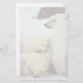 Polar She-bear With Cubs (Front/Back)