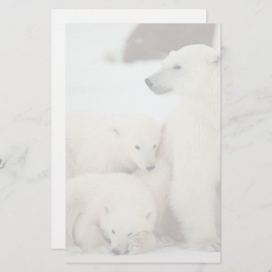 Polar She-bear With Cubs (Front/Back)