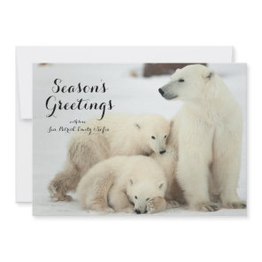 Polar She-bear With Cubs Holiday Card