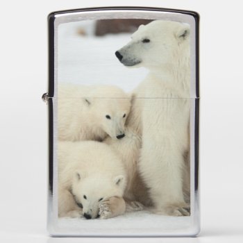 Polar She-bear With Cubs Zippo Lighter by happyholidays at Zazzle