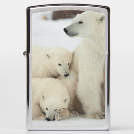 Polar She-bear With Cubs Zippo Lighter