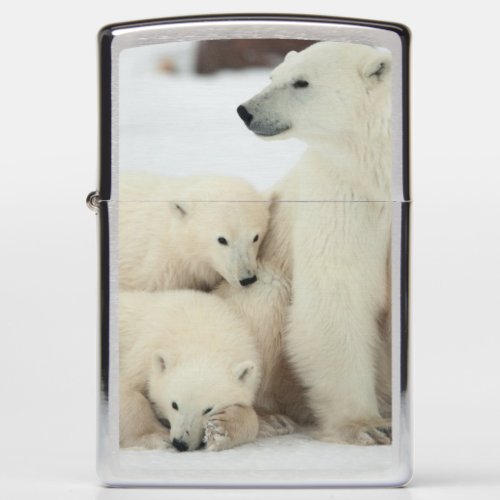 Polar She_bear With Cubs Zippo Lighter