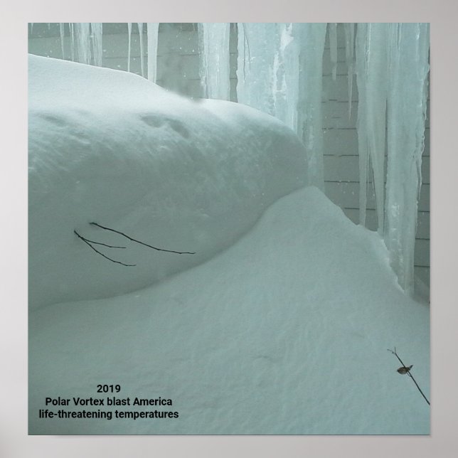 POLAR VORTEX HITS AMERICA 2019 POSTER (Front)