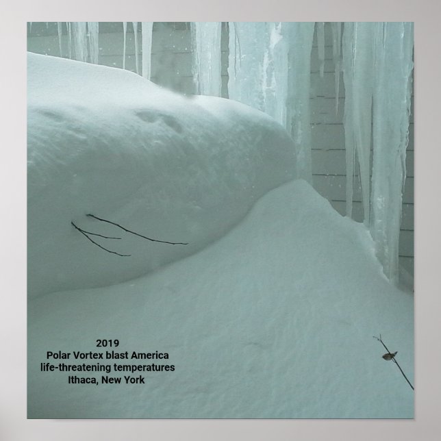 POLAR VORTEX HITS ITHACA NEW YORK 2019 POSTER (Front)