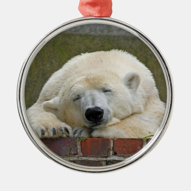 PolarBear20150501 Metal Ornament (Front)