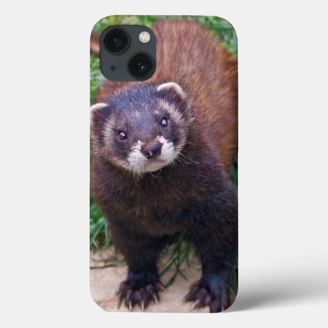 Polecat iPad Case (Back)