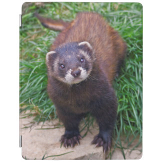 Polecat iPad Cover