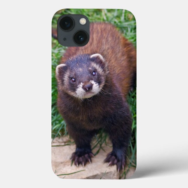 Polecat iPad Mini Case (Back)